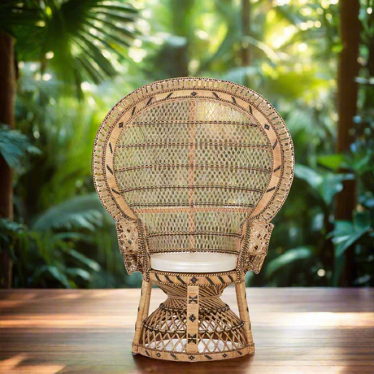 Boho Rattan Accent Chair