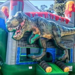 dino204 1746758791 T-Rex Dual Combo Bounce