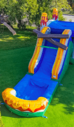 dino206 1746758792 T-Rex Dual Combo Bounce