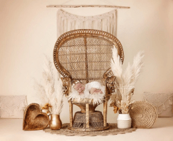 Peacock Chair