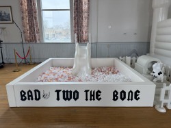 Giant White Ball Pit w/ Slide