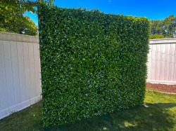 IMG 3733 1751389738 8ft x 8ft Grass Wall