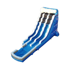 IMG 6304 1753405827 22ft Blue Marble Dual Lane Slide w/ pool